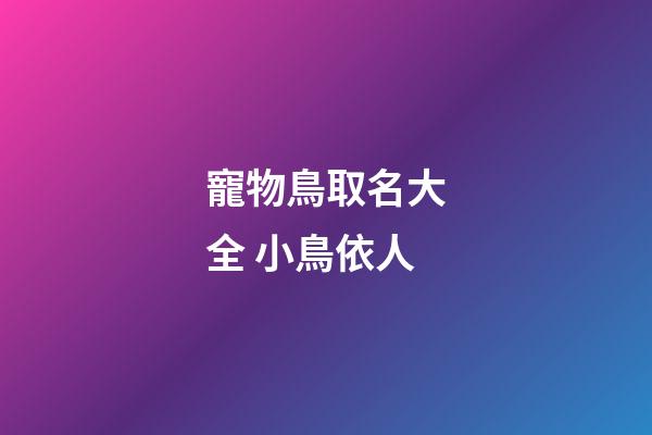 寵物鳥取名大全 小鳥依人